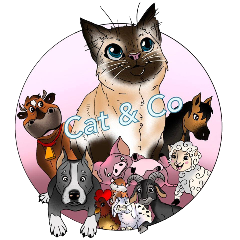 Cat and Co